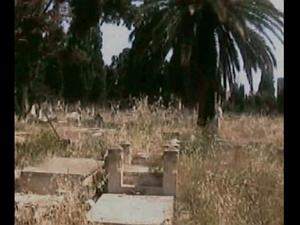ORAN TAMAZOUHET 31